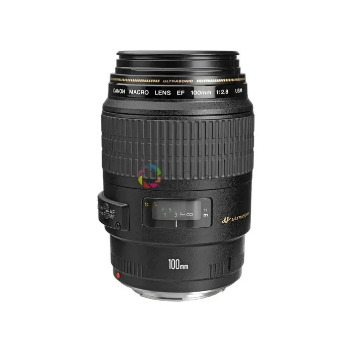 爆買い！ Photocolor Lente Canon EF 100 mm Macro f/2.8 USM レンズ(単焦点)