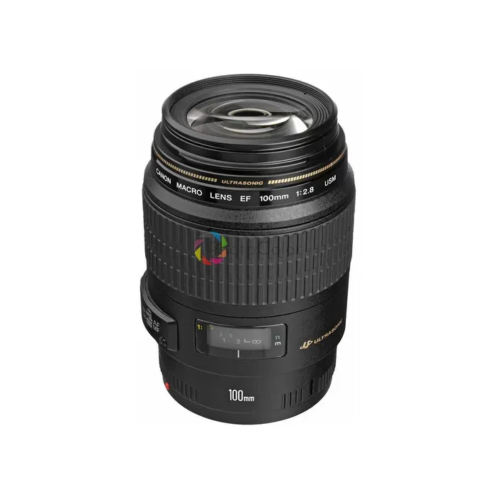 その他 Canon EF 100mm f/2.8 Macro #1060 EF100mm F2.8 マクロ - キヤノンカメラミュージアム